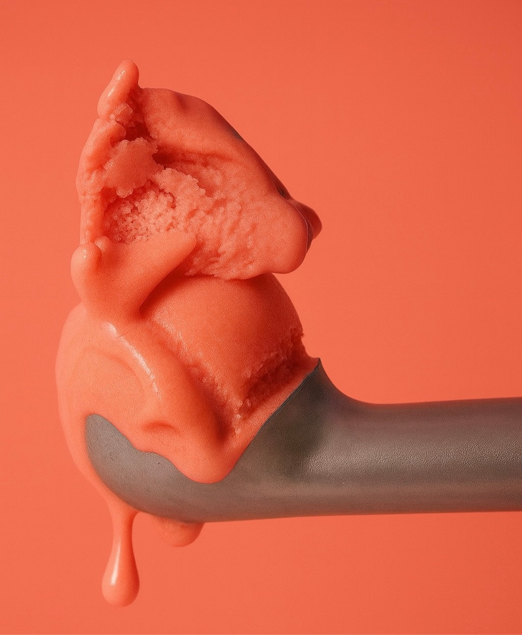 Coral Peachy Lip Tint